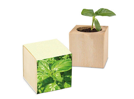Pflanz-Holz mit Samen (Graspapier-Banderole) - Basilikum, 1 Seite gelasert