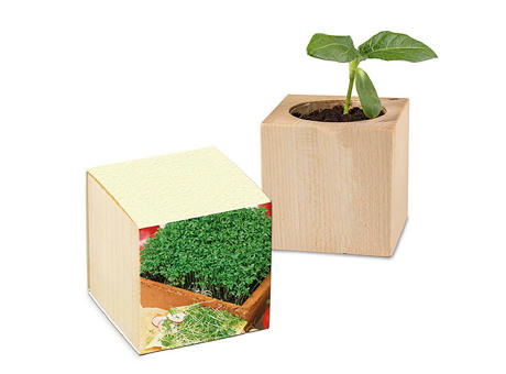 Pflanz-Holz mit Samen (Graspapier-Banderole) - Gartenkresse