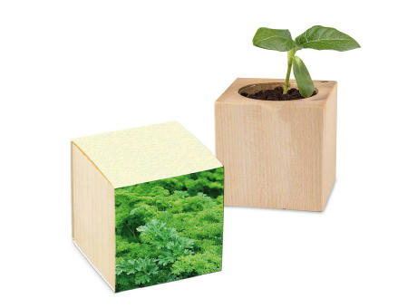 Pflanz-Holz mit Samen (Graspapier-Banderole) - Petersilie
