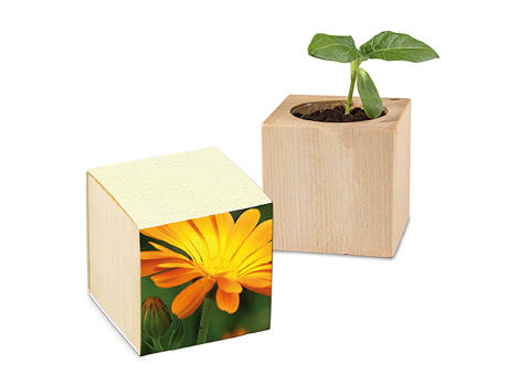 Pflanz-Holz mit Samen (Graspapier-Banderole) - Ringelblume, 2 Seiten gelasert
