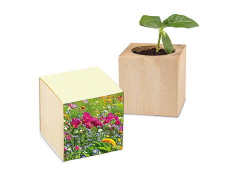 Pflanz-Holz mit Samen (Graspapier-Banderole) - Sommerblumenmischung, 1 Seite gelasert