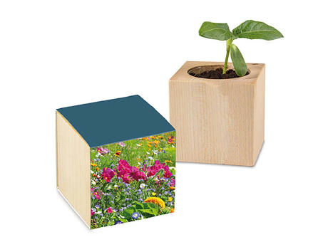 Pflanz-Holz mit Samen - Sommerblumenmischung, 1 Seite gelasert