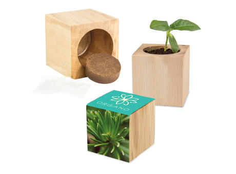 Pflanz-Holz Maxi mit Samen - Fichte, 2 Seiten gelasert
