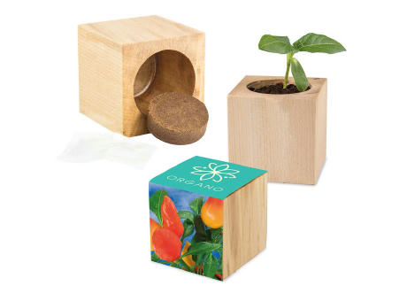 Pflanz-Holz Maxi mit Samen - Gewürzpaprika, 1 Seite gelasert
