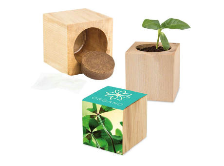 Pflanz-Holz Maxi mit Samen - Glücksklee-Zwiebel, 2 Seiten gelasert (* Je nach Verfügbarkeit der Glücksklee-Zwiebeln)