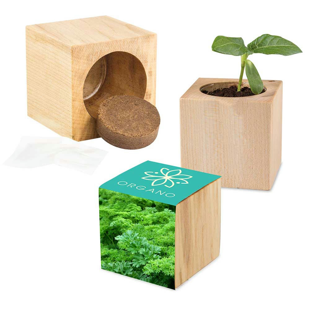 Pflanz-Holz Maxi mit Samen - Petersilie
