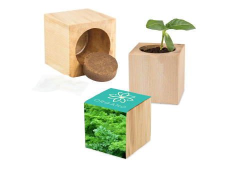 Pflanz-Holz Maxi mit Samen - Petersilie, 1 Seite gelasert