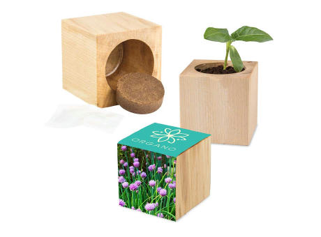 Pflanz-Holz Maxi mit Samen - Schnittlauch, 2 Seiten gelasert