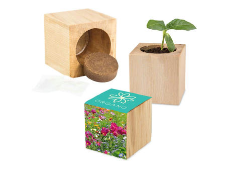 Pflanz-Holz Maxi mit Samen - Sommerblumenmischung