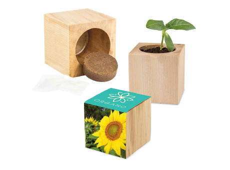 Pflanz-Holz Maxi mit Samen - Sonnenblume, 1 Seite gelasert