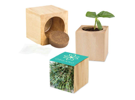 Pflanz-Holz Maxi mit Samen - Thymian, 1 Seite gelasert