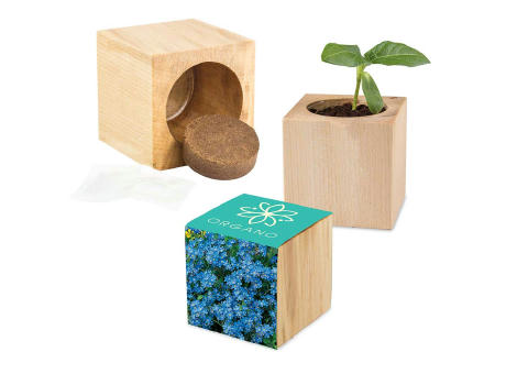 Pflanz-Holz Maxi mit Samen - Vergissmeinnicht, 2 Seiten gelasert