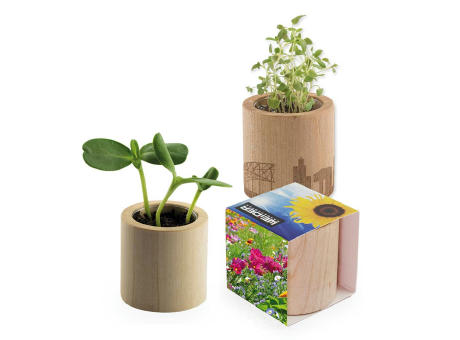 Pflanz-Holz rund mit Samen - Sommerblume, Rundum-Lasergravur