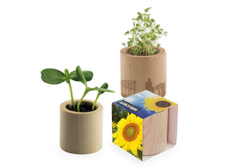 Pflanz-Holz rund mit Samen - Sonnenblume, Lasergravur