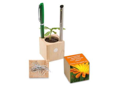 Pflanz-Holz Büro mit Samen - Ringelblume