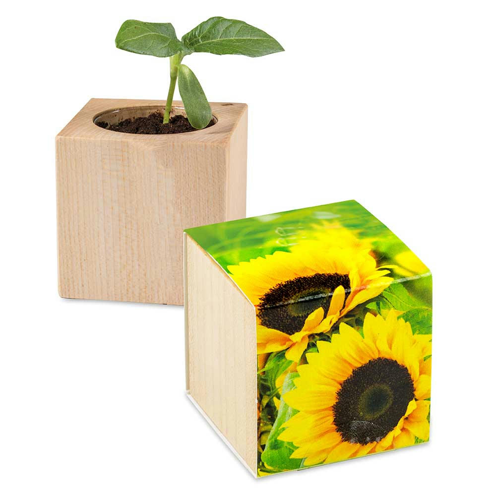 Pflanz-Holz - Standardmotiv - Sonnenblume - 1 Seite gelasert