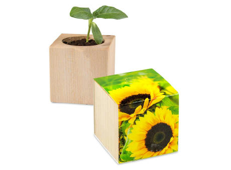 Pflanz-Holz - Standardmotiv - Sonnenblume - 1 Seite gelasert