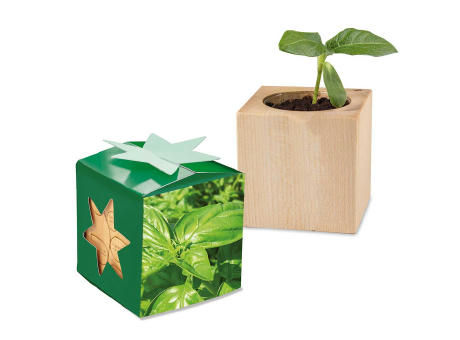 Pflanz-Holz Star-Box mit Samen - Basilikum, 1 Seite gelasert