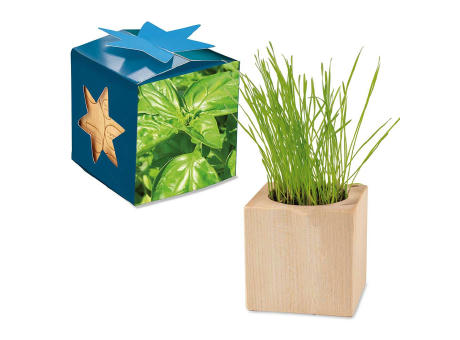Pflanz-Holz Maxi Star-Box mit Samen - Basilikum, 2 Seiten gelasert
