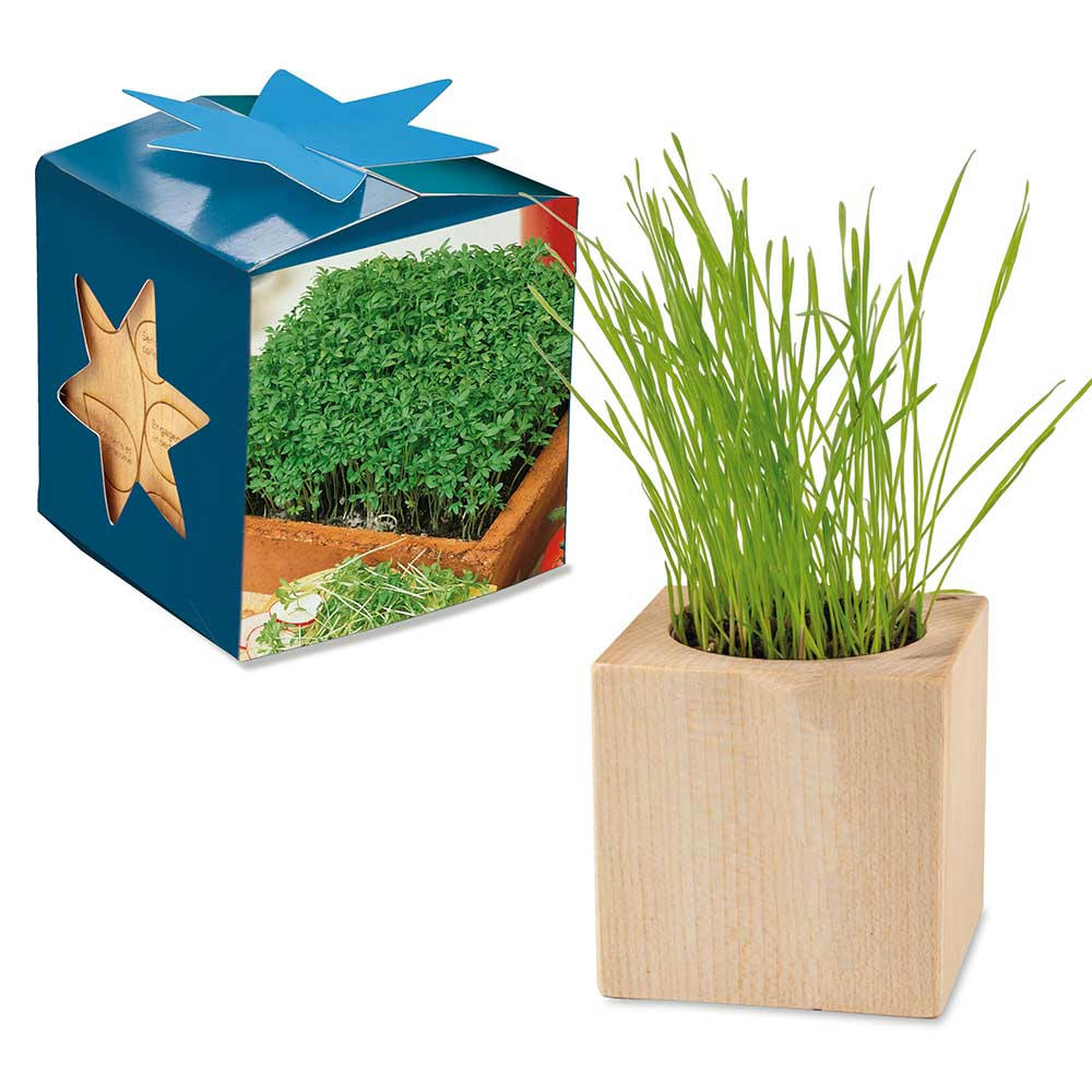 Pflanz-Holz Maxi Star-Box mit Samen - Gartenkresse, 1 Seite gelasert