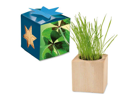 Pflanz-Holz Maxi Star-Box mit Samen - Glücksklee-Zwiebel, 1 Seite gelasert (* Je nach Verfügbarkeit der Glücksklee-Zwiebeln)