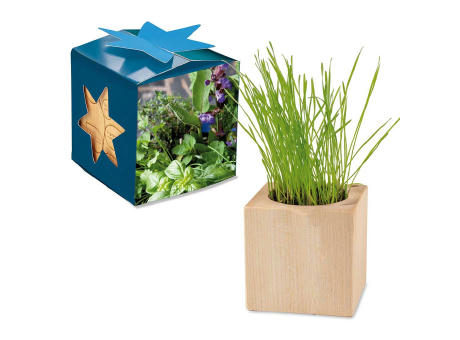 Pflanz-Holz Maxi Star-Box mit Samen - Kräutermischung, 1 Seite gelasert
