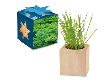 Pflanz-Holz Maxi Star-Box mit Samen - Petersilie, 1 Seite gelasert