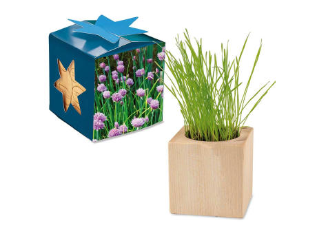 Pflanz-Holz Maxi Star-Box mit Samen - Schnittlauch