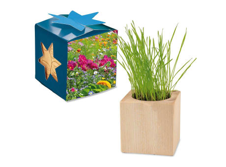 Pflanz-Holz Maxi Star-Box mit Samen - Sommerblumenmischung