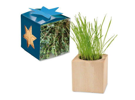 Pflanz-Holz Maxi Star-Box mit Samen - Thymian, 1 Seite gelasert