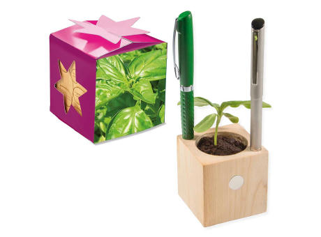 Pflanz-Holz Büro Star-Box mit Samen - Basilikum, 1 Seite gelasert