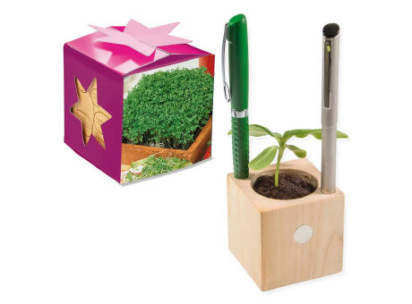 Pflanz-Holz Büro Star-Box mit Samen - Gartenkresse