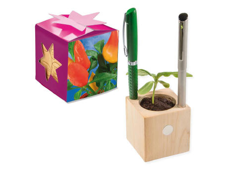 Pflanz-Holz Büro Star-Box mit Samen - Gewürzpaprika