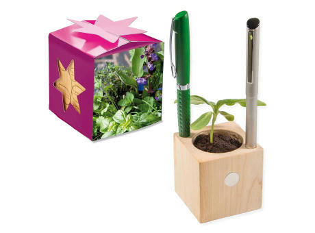 Pflanz-Holz Büro Star-Box mit Samen - Kräutermischung, 1 Seite gelasert
