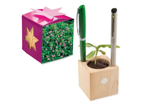 Pflanz-Holz Büro Star-Box mit Samen - Persischer Klee, 2 Seiten gelasert