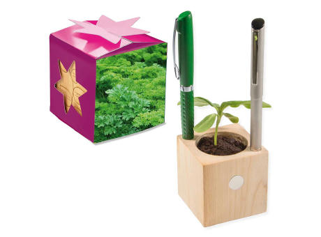 Pflanz-Holz Büro Star-Box mit Samen - Petersilie, 2 Seiten gelasert