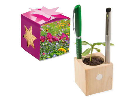 Pflanz-Holz Büro Star-Box mit Samen - Sommerblumenmischung, 2 Seiten gelasert