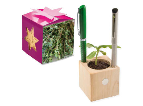 Pflanz-Holz Büro Star-Box mit Samen - Thymian, 2 Seiten gelasert