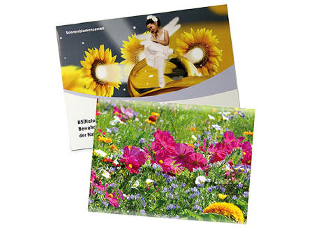 Samentütchen Groß - Standardpapier - Sommerblumenmischung