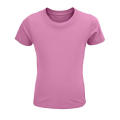 CRUSADER CAMISETA NIÑO 150g