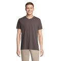 REGENT V CAMISETA