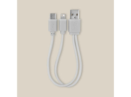 CABLE BETA