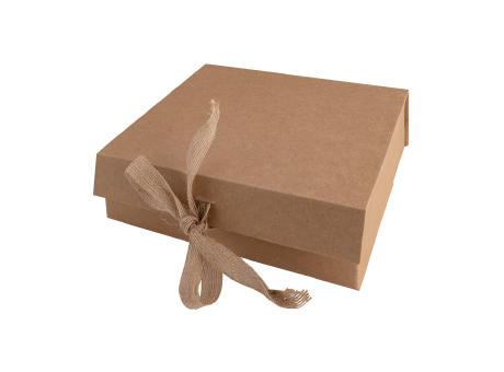 CAJA STEPO