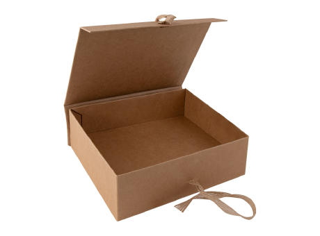CAJA STEPO
