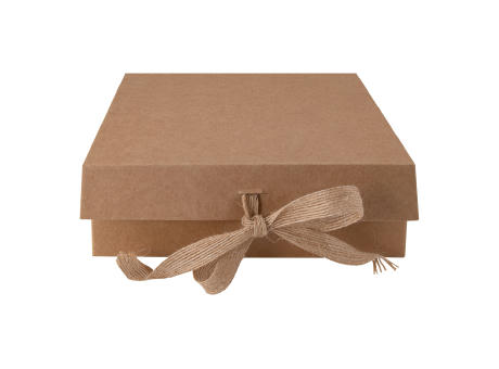 CAJA STEPO