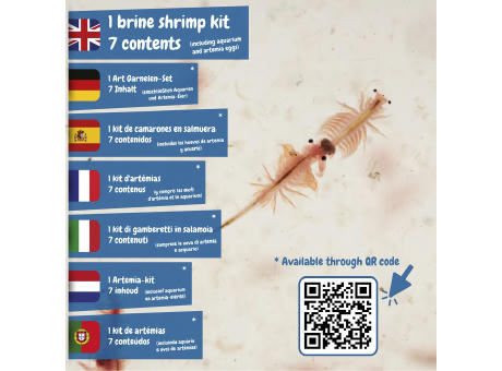 Jurassic Pets Kit III. Lernspiel lieferung inklusive einer kraftpapiertasche (90 g/m²)