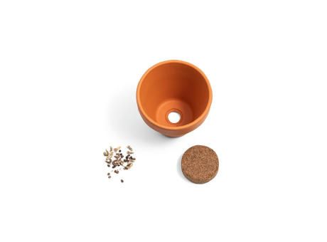 ANETHUM. Terracotta Töpfchen - Dill