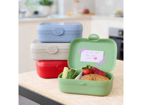 ARENA Lunchbox mit Trennsteg
