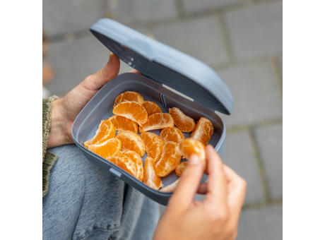 ARENA Lunchbox mit Trennsteg