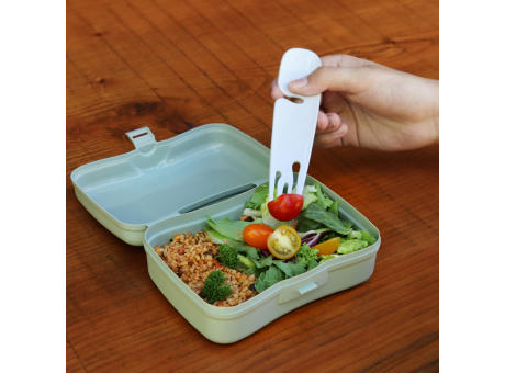 BASIC Lunchbox